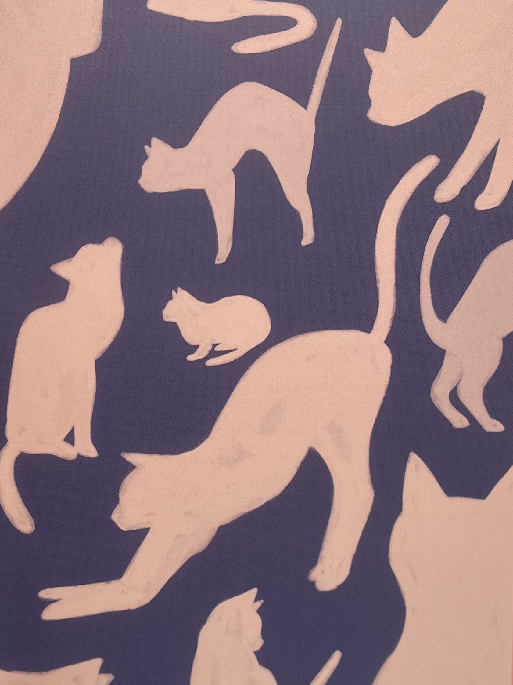 Enfin, retrouver Haruki!