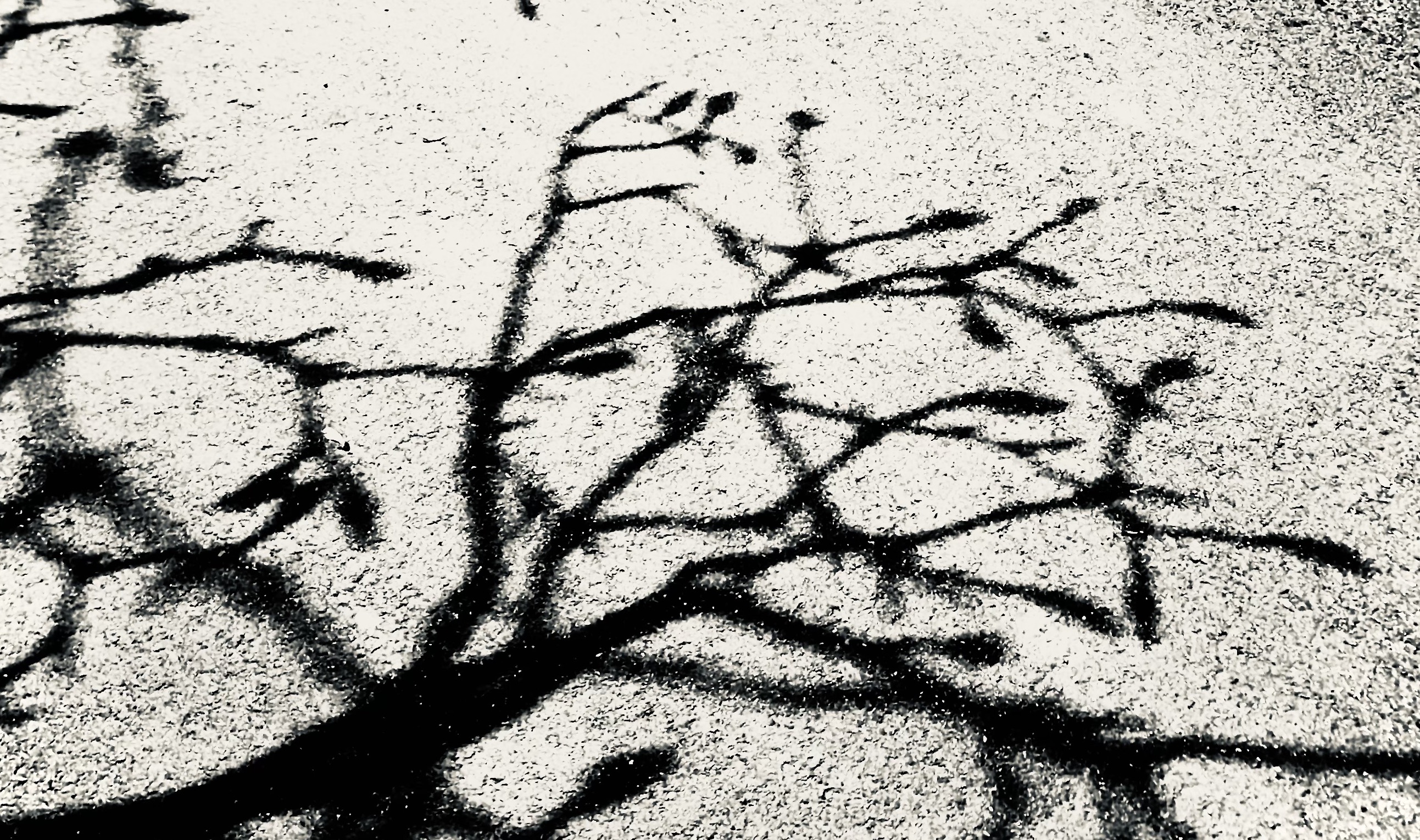 Où est la vérité?